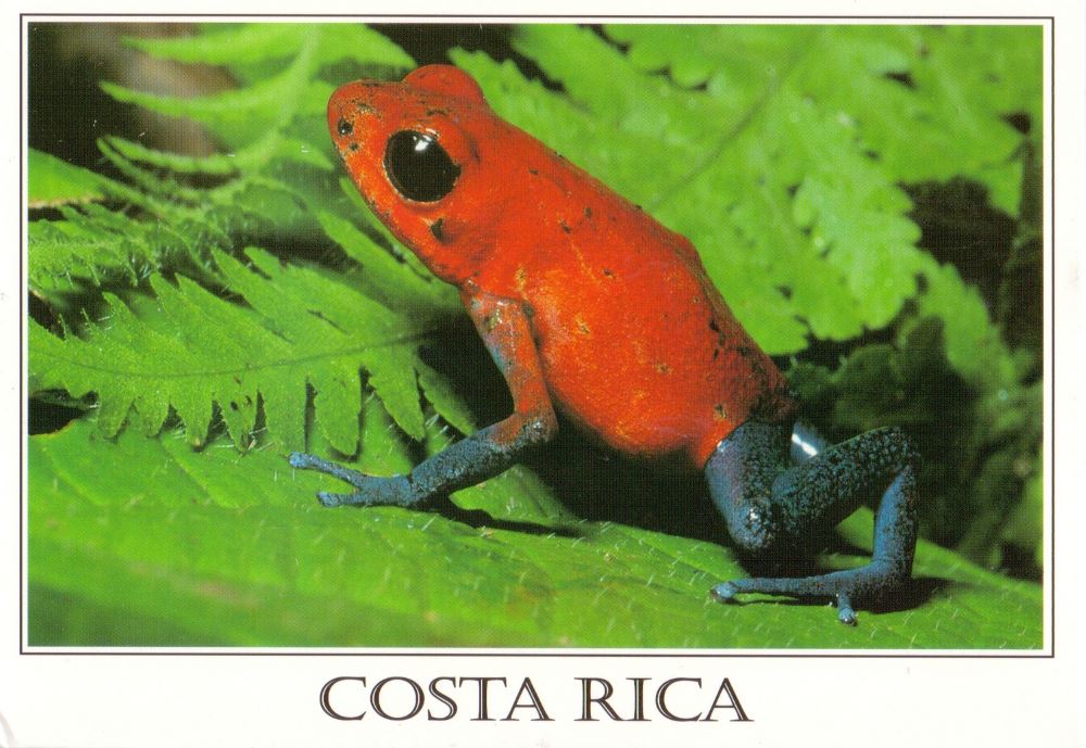 Costa Rica postcard