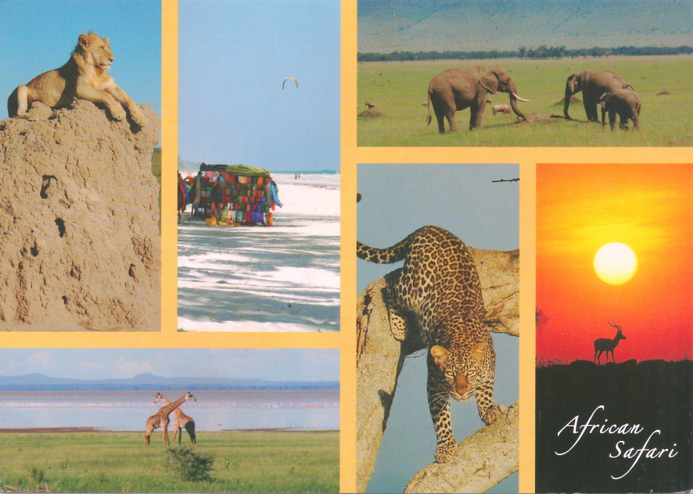 Kenya Postcard