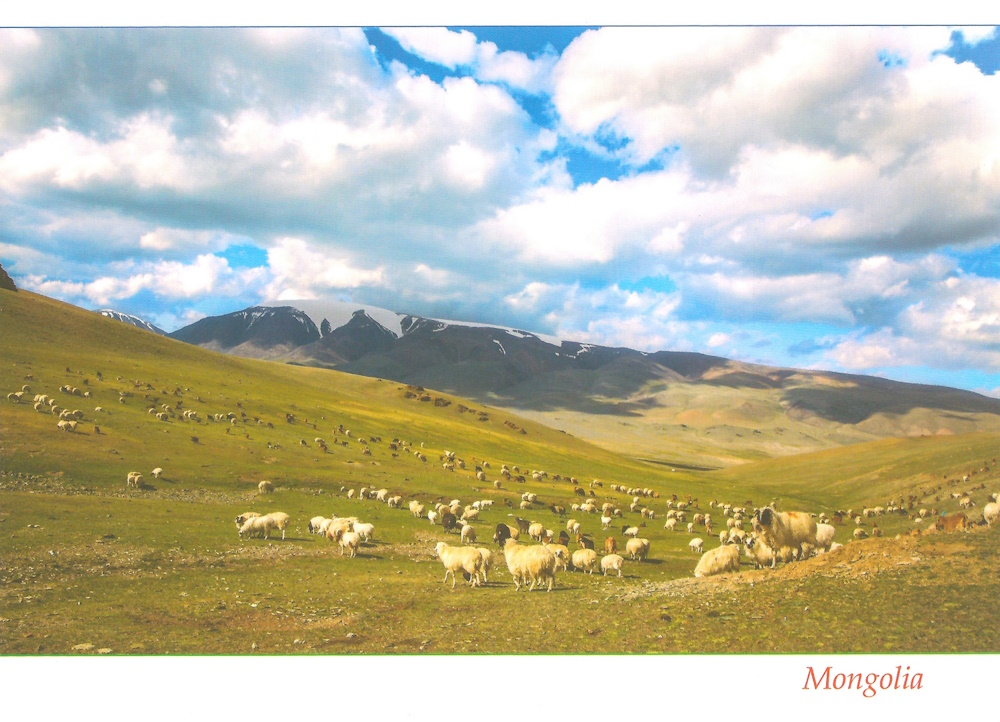 Mongolia postcard